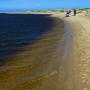 On the northern shore of Abbots Lagoon. This 200 acre body of water is home to a variety of birds.